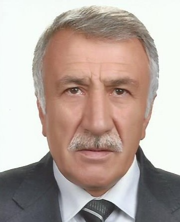 MEVLÜT DEMİR